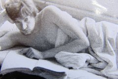 DSC03514