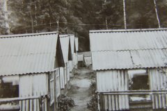 DSC03461