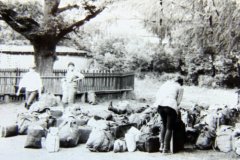 DSC03555