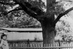 Фотогалерея 03 — ЗБС