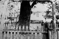 DSC03646
