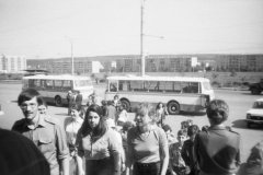 066-010