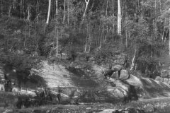 073-005
