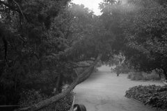 096-001