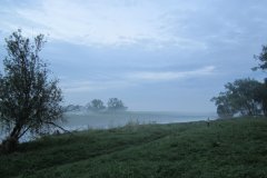 IMG_3298