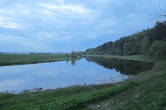 IMG_8513