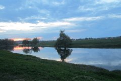 IMG_8516