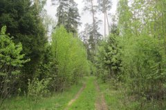 IMG_8521